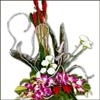 UnForgettable Moments - Click here to View more details about this Product
